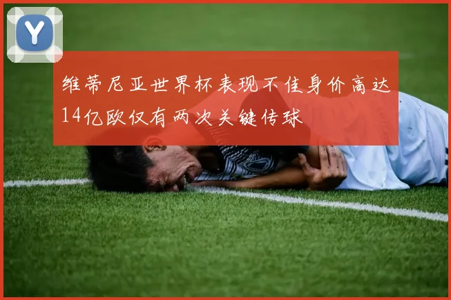 维蒂尼亚世界杯表现不佳身价高达14亿欧仅有两次关键传球