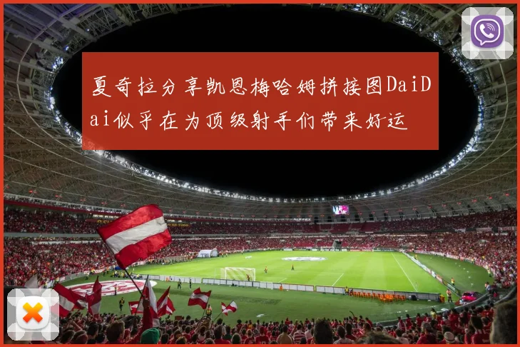 夏奇拉分享凯恩梅哈姆拼接图DaiDai似乎在为顶级射手们带来好运