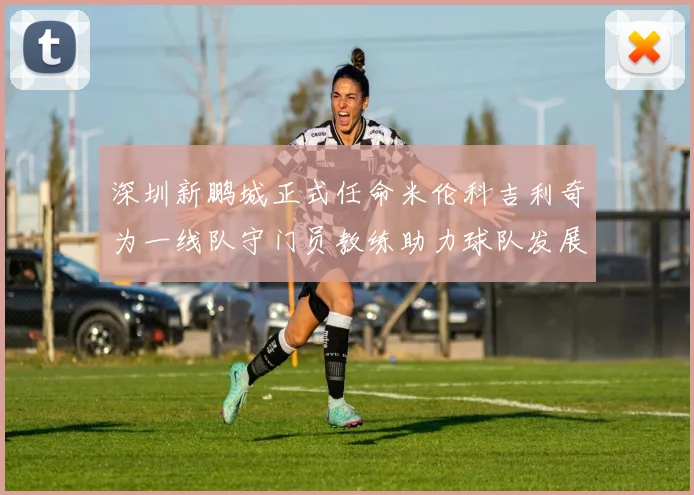 深圳新鹏城正式任命米伦科吉利奇为一线队守门员教练助力球队发展